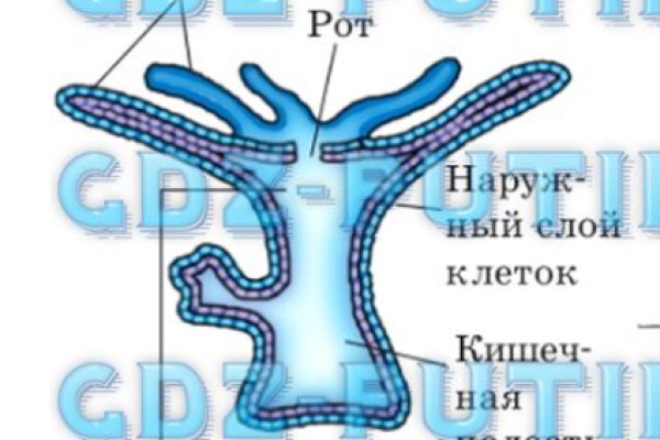 Mega sb ссылка на сайт