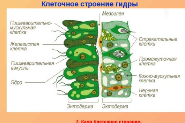 Mega tor официальный сайт